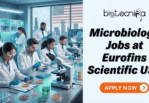Hiring Now! Microbiology Jobs in the USA at Eurofins Scientific Hiring Now! Microbiology Jobs in the USA at Eurofins Scientific. A promotional banner for Biotecnika Global advertising "Microbiology Jobs at Eurofins Scientific USA". The left side features a photo of diverse scientists working in a modern laboratory with microscopes and petri dishes, with a US flag and city skyline in the background. The right side has the Biotecnika Global logo, large black text, and an orange "APPLY NOW" button.
