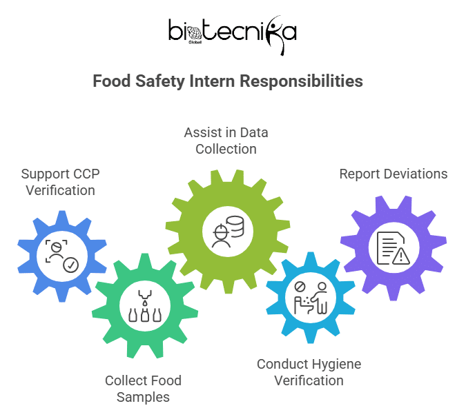 Latest Food Science Internship at Emirates Flight Catering in Dubai | Don't Miss this Opportunity Now!