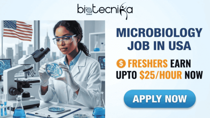 Microbiology Job in USA Freshers Earn Upto $25Hour Now