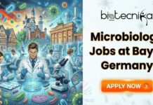 Microbiology Jobs in Germany | Apply For QC Role at Bayer Microbiology Jobs in Germany Apply For QC Manager Role at Bayer. A promotional banner from Biotecnika Global advertising "Microbiology Jobs at Bayer Germany." On the left is a colorful illustration of scientists in a laboratory setting, with German landmarks like Neuschwanstein Castle and the Brandenburg Gate in the background, along with various microbes. On the right is the text "Microbiology Jobs at Bayer Germany" in orange, with an "APPLY NOW" button below it.