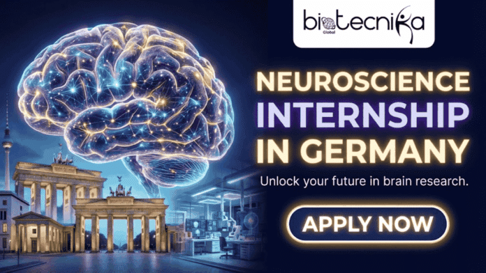 Neuroscience Internship in Germany AbbVie Offers Molecular Biomarkers Program. A professional promotional image for a Neuroscience Internship in Germany. On the left, a glowing, futuristic 3D human brain with neural connections is superimposed over the iconic Brandenburg Gate and a high-tech laboratory. The right side features the Biotecnika Global logo at the top, followed by bold, glowing text that reads