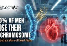 40% of Men Over 60 Are Losing Y Chromosome – And It’s Affecting Their Hearts News Article 40% of Men Over 60 Are Losing Y Chromosome – And It’s Affecting Their Hearts