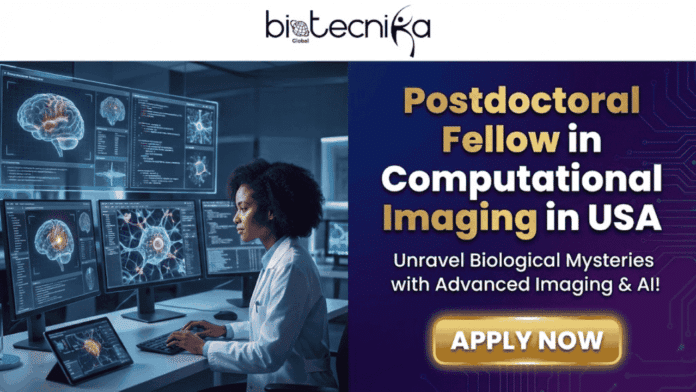 Postdoctoral Fellow in Computational Imaging in USA Cryo-EM Research at Berkeley Lab. Biotecnika Global promotional banner for a