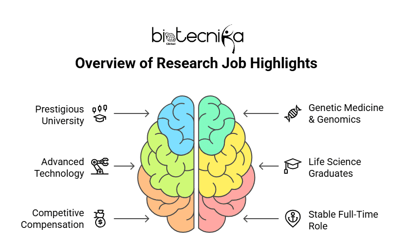Research Job Highlights - visual selection