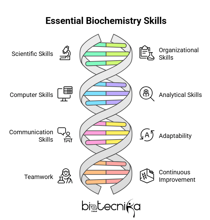 Skills & Competencies for Biochemistry Jobs - visual selection