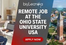 Remote Regulatory Assistant Job at The Ohio State University USA Regulatory Assistant remote job opportunity at The Ohio State University Clinical Trials Office