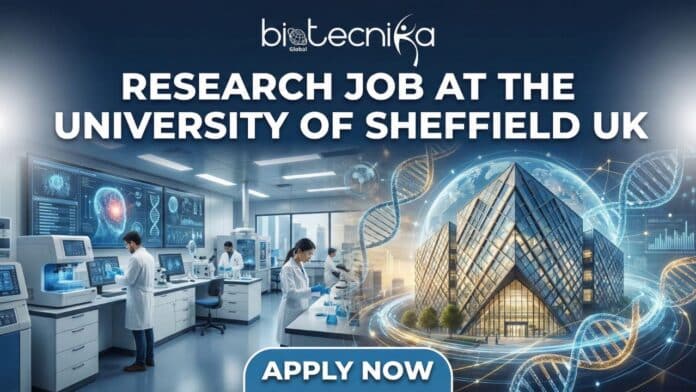 Research Associate research job in developmental biology at the University of Sheffield Biosciences department