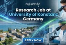 Exciting Doctoral Position in Immunology at University of Konstanz Germany Doctoral student conducting immunology research with T cells in a University of Konstanz lab – life science research job opportunity.