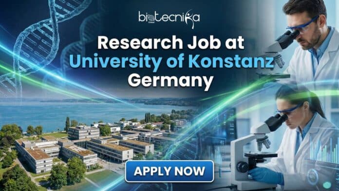 Doctoral student conducting immunology research with T cells in a University of Konstanz lab – life science research job opportunity.