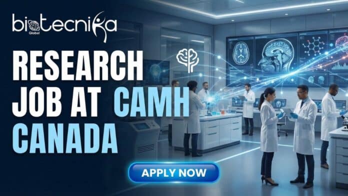 Research Analyst Jobs in Canada – CAMH Toronto laboratory team conducting behavioral and molecular neuroscience research