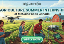 Agriculture Summer Internship in Canada at McCain Foods | Paid Opportunity for Life Science Graduates Agriculture Summer Internship in Canada McCain Foods Career A featured image for a job advertisement titled "AGRICULTURE SUMMER INTERNSHIP at McCain Foods Canada." The illustration depicts a diverse team of four young agricultural interns working in a vast, sunlit potato field. They are utilizing modern "smart farming" technology, including a crop-monitoring drone, handheld plant scanners, soil sensors, and tablets displaying growth data. A small autonomous robot is also visible navigating the rows. The background features a classic red barn and rolling hills under a clear sky. The Biotecnika Global logo is centered at the top, and a bright green "APPLY NOW" button is at the bottom center.