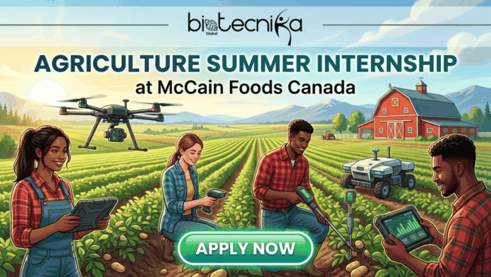 Agriculture Summer Internship in Canada McCain Foods Career A featured image for a job advertisement titled