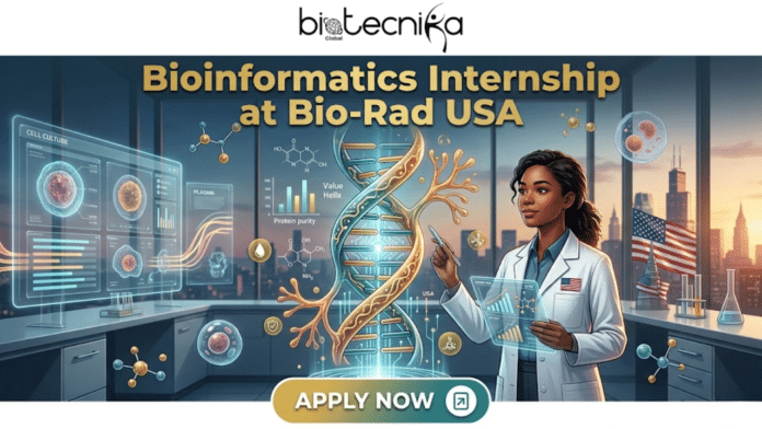 Bioinformatics Internship at Bio-Rad USA Earn, Code & Innovate. A vibrant, modern digital illustration promotional banner with the text