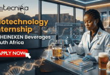 Biotechnology Internship in South Africa | HEINEKEN Beverages Hiring Quality Control Interns Biotechnology Internship in South Africa HEINEKEN Beverages Hiring Quality Control Interns. A monochromatic black and white logo for "biotecnika Global". The main text is "biotecnika" in a lowercase, clean sans-serif font. The letter "o" is replaced by a detailed wireframe globe with an orbital arrow and the word "Global" placed directly beneath it. The second letter "i" (in "tecnika") is replaced by a stylized, abstract human figure in a dynamic pose, topped with a dot for the 'i's tittle. The overall impression is one of modern biotechnology with global reach and a human focus.