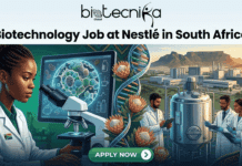 Biotechnology Job at Nestlé in South Africa | QA Analyst Wanted Biotechnology Job at Nestlé in South Africa QA Analyst Wanted. A composite promotional illustration banner (1280x720) with the 'biotecnika Global' logo at the top and the title 'Biotechnology Job at Nestlé in South Africa.' On the left, a focused Black female scientist in a white lab coat with a South African flag patch uses a microscope next to a monitor displaying cell cultures. In the center, a large DNA double helix is intertwined with protea flowers. On the right, a multi-racial team of three scientists works near a large industrial bioreactor and a chemical plant facility. In the far distance, Table Mountain is visible under a sunny sky. The corners are decorated with colorful geometric African patterns. A green 'APPLY NOW' button with a directional arrow is at the bottom center.