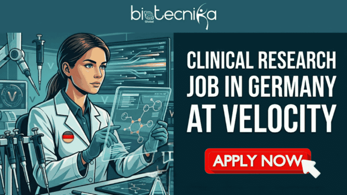 CLINICAL RESEARCH JOB IN GERMANY AT VELOCITY. An illustrated banner features a woman with dark hair in a white lab coat working in a modern, high-tech laboratory filled with micropipettes, robotic arms, and computer screens. She holds an electronic pipette in one hand and points at a glowing molecular structure on a transparent tablet. The top has a logo banner that reads