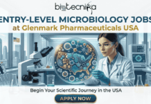 Entry-Level Microbiology Jobs at Glenmark Pharmaceuticals in USA | Apply Today!! Entry-Level Microbiology Jobs at Glenmark Pharmaceuticals USA. A promotional banner image from biotecnika Global for "Entry-Level Microbiology Jobs at Glenmark Pharmaceuticals USA." The image features a young female scientist in a lab coat and safety glasses within a modern laboratory setting. She is holding up and intently examining a large petri dish. Crucially, the microbial colonies inside the dish are arranged to form a detailed, multi-colored map of the United States. She is surrounded by lab equipment, including a large microscope and glassware, with a view of a city skyline and a US flag through a window. The text "Begin Your Scientific Journey in the USA" is below the scene, above a blue "APPLY NOW" button.