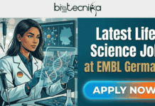 Latest Life Science Job at EMBL Germany | International Applicants Welcome Life Science Job at EMBL Germany | Global Applicants Welcome. This featured image (1280x720) features a high-resolution, sophisticated vector illustration of a diverse life scientist (female representation, including a small German flag badge on her coat collar) interacting with complex, glowing DNA visualizations in a futuristic laboratory on the left. On the right, large, bold white and gold text clearly states 'Latest Life Science Job' and 'at EMBL Germany', stacked exactly as in image_19.png's right text panel. A glowing gradient 'APPLY NOW' button is prominent at the bottom right, below the text panel. A clean grey banner centered at the top contains the complete black-text Biotecnika Global logo, with its globe and stylized figure, exactly as seen in image_14.png. No EMBL company logo is included.