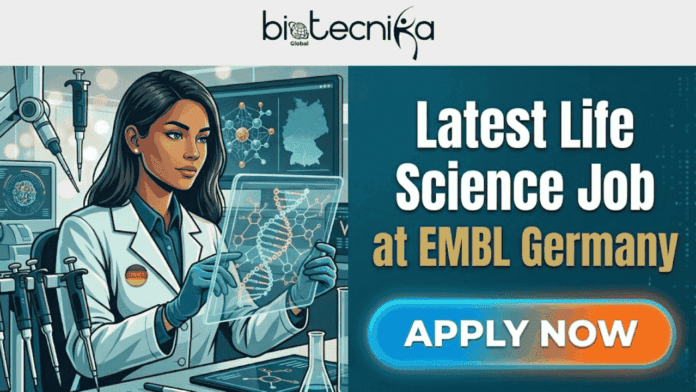 Life Science Job at EMBL Germany | Global Applicants Welcome. This featured image (1280x720) features a high-resolution, sophisticated vector illustration of a diverse life scientist (female representation, including a small German flag badge on her coat collar) interacting with complex, glowing DNA visualizations in a futuristic laboratory on the left. On the right, large, bold white and gold text clearly states 'Latest Life Science Job' and 'at EMBL Germany', stacked exactly as in image_19.png's right text panel. A glowing gradient 'APPLY NOW' button is prominent at the bottom right, below the text panel. A clean grey banner centered at the top contains the complete black-text Biotecnika Global logo, with its globe and stylized figure, exactly as seen in image_14.png. No EMBL company logo is included.