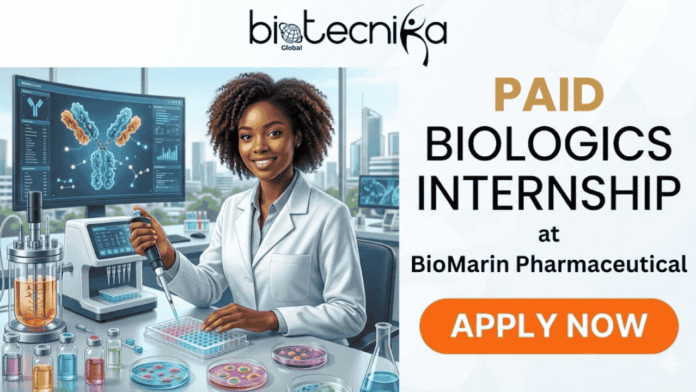 Paid Internship at BioMarin Pharmaceutical USA | Don't Miss It. A high-quality featured banner image for a job page, split between an illustration on the left and text on the right, with a logo banner across the top. The top light grey header features the centered black 'biotecnika Global' logo, which includes stylized 'biotecnika' text, a globe icon with 'Global' below it, and a stylized dancing figure to the right. The left section (60% width) is a detailed, dynamic illustration of a smiling young Black woman with coily hair, wearing a white lab coat. She is seated at a high-tech laboratory workbench, actively using a micropipette to transfer liquid into a multi-well plate. Behind her, a large monitor displays a complex, colourful 3D molecular model of an antibody and scientific charts, with a small 'biotecnika Global' logo. Various laboratory equipment like a large bioreactor vessel with orange liquid, glass vials, and petri dishes with cultures are on the bench. Through a large window, a modern biotechnology park city skyline is visible. The right section (40% width) has a clean, light background with prominent text stacked and arranged: