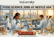 Latest Food Science Internship in USA: Nestlé Hiring Sensory Insights Intern Latest Food Science Internship in USA at Nestlé | Don't Miss It. An illustrated promotional banner for biotecnika Global, with the main headline text reading "FOOD SCIENCE JOBS AT NESTLÉ USA". The banner shows a modern food science laboratory with multiple diverse scientists in white lab coats. A central Black female scientist works at a table, holding a probe to a multi-layered food sample. To her right, a male scientist looks at a complex bar graph on a computer monitor. Other scientists are working in the background. In the foreground, there are beakers, spice jars, and several appealing food products like cereal bowls, energy bars, cookies, and boxes labeled "FORTIFIED CEREALS" and "PLANT-BASED" by Nestlé Nutrition. The background features a large window with a view of a modern US city skyline under a warm, golden-hour light, flanked by decorative stained-glass panels of corn (left) and wheat (right) stalks. The overall scene blends advanced lab technology with appealing food. At the top center, a stylized logo reads "biotecnika Global". At the bottom center, a red call-to-action button with white text reads "APPLY NOW >", and below it, text reads "JOIN THE TEAM OF INNOVATION".
