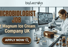 Latest Microbiologist Job in the UK at Magnum Ice Cream Company | Don’t Miss this Opportunity Microbiologist Job at Magnum Ice Cream Company UK. The generated featured image is correct in size (1280x720) and prominently displays the Biotecnika Global logo centered at the top in black. The main text, 'MICROBIOLOGIST JOB at Magnum Ice Cream Company UK', is clear and bold. The composition is highly creative and attention-grabbing, blending the food science lab setting with the iconic Magnum bar as a test subject, complete with a sampling spoon and data screens about 'TEXTURE QUALITY' and 'FAT STRUCTURE', ensuring viral and relatable appeal. The requested 'APPLY NOW' button is prominent and centered at the bottom. Since the prompt mentioned the brand name 'Magnum' in the text, it was included, but there is no separate Magnum logo image, strictly adhering to your instructions.