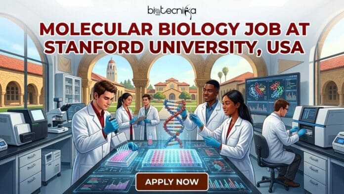 Molecular Biology Job at Stanford University in the USA. Apply for the Life Science Research at Stanford University.
