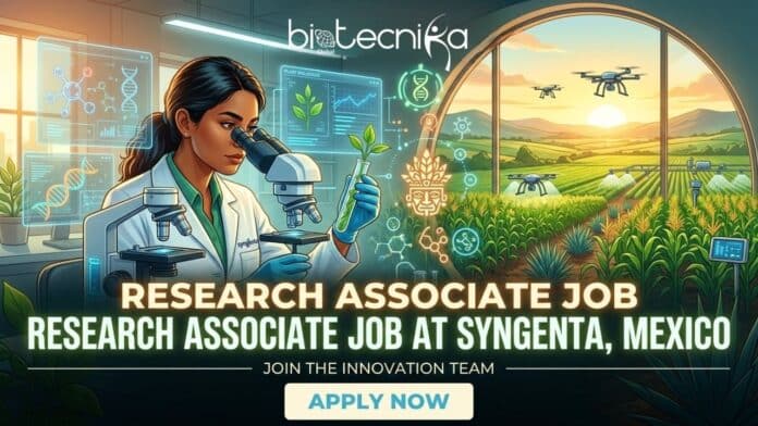 Biotechnology Job at Syngenta Careers in Mexico. Apply for the Research Associate Job at Syngenta in Mexico.
