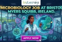Bristol Myers Squibb Hiring QC Specialists in Ireland | Microbiology Candidates Apply! Microbiology Job at Bristol Myers Squibb in Ireland. Apply for the QC Specialist Role at Bristol Myers in Ireland.