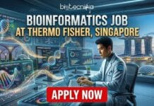 Thermo Fisher Scientific Hiring Bioinformatics Scientist in Singapore | Grab this Opportunity Now! Bioinformatics Job at Thermo Fisher in Singapore. Apply for the Bioinformatics Scientist Role at Thermo Fisher Careers in Singapore.