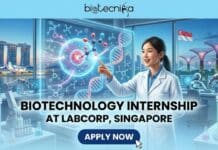 LabCorp Calls For Bioanalytical Scientist Intern Role in Singapore | Start your Rewarding Career! Biotechnology Internship at LabCorp in Singapore. Apply for the Bioanalytical Scientist Intern Role at LabCorp Careers.
