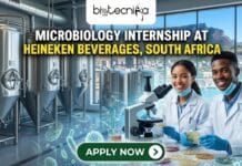 Supply Chain Quality Internship at HEINEKEN Beverages, South Africa | Don’t Miss it! Microbiology Internship at HEINEKEN Beverages in South Africa. Apply for the Supply Chain Intern Role at HEINEKEN Beverages.