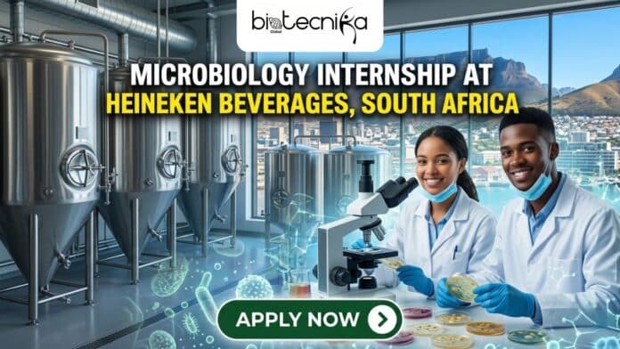 Microbiology Internship at HEINEKEN Beverages in South Africa. Apply for the Supply Chain Intern Role at HEINEKEN Beverages.