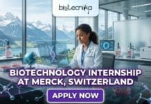 Latest Biotechnology Internship at Merck, Switzerland | Work in Cell Line Development! Biotechnology Internship at Merck Careers in Switzerland. Apply for the Cell Line Development Optimization Role.