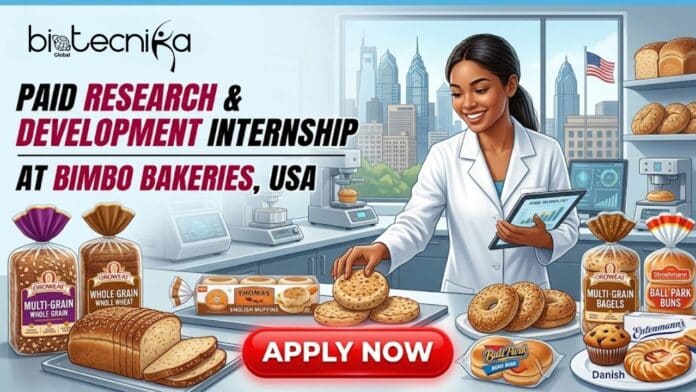 Paid R&D Internship at Bimbo Bakeries in the USA for Food Science Candidates. Apply for the R&D Intern Role.