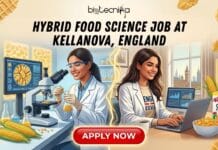Hybrid Food Science Job at Kellanova in England | Grab this Opportunity! Hybrid Food Science Job at Kellanova in England. Apply for the Food Designer Role at Kellanova in England.