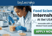 Food Science Internship in USA | Explore R&D Formulation Intern Role At Bel Brands Food Science Internship At Bel USA Earn Upto $33hour. A featured image for a job page. The image is a split-screen design. The left side features a photograph of a food scientist wearing a lab coat and gloves, using a pipette to add liquid to a piece of Swiss cheese in a modern laboratory setting, with other lab equipment visible. The right side has large text that reads: 'Food Science Internship At Bel USA' and a subtitle below it that reads: 'Innovate with a Global Food Leader'. At the top center is the 'biotecnika Global' logo. At the bottom right is a prominent green 'APPLY NOW' button.