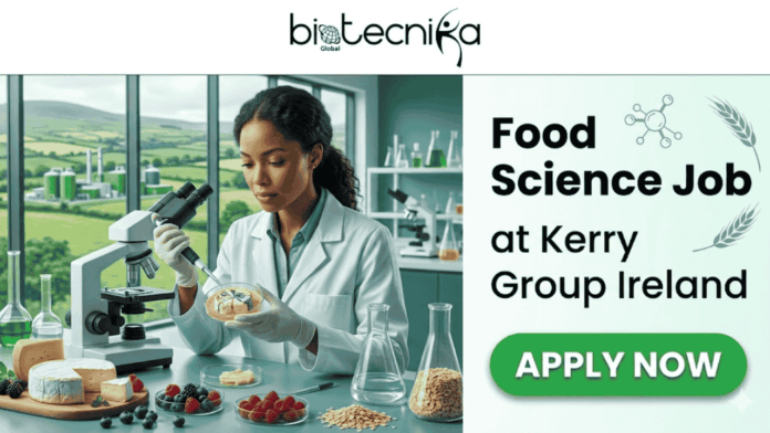 Food Science Job at Kerry Group Ireland Life Science & Food Science Apply Now. A split-layout featured image. The left side features a photo of a female food scientist in a white lab coat and gloves, carefully using a micropipette to dispense liquid into a petri dish filled with berries and what appears to be cheese, with a microscope and other food samples (oats, cheese wheels) on her bench. Through a large window behind her is a view of rolling green Irish hills and a research/production facility. At the top of the image is the 'biotecnika Global' logo. The right side has a light green background with the text: