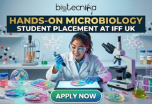 Hands-On Microbiology Student Placement at IFF in UK | Exciting Opportunity You Can’t Miss!! Hands-On Microbiology Student Placement at IFF in UK Exciting Opportunity You Can't Miss!! A featured image for a job posting page with the main text at the top: 'HANDS-ON MICROBIOLOGY STUDENT PLACEMENT AT IFF UK'. The 'biotecnika Global' logo is in the very top center. A young woman in a lab coat, safety glasses, and blue gloves is at a cluttered lab bench, using a micropipette to work with a petri dish on a light table. Petri dishes with colorful and multi-well cultures, a large microscope, and numerous flasks, beakers, and chemical bottles labeled 'Vanillin', 'Menthol', 'Linalool', 'Citral', and 'Biology' are spread across the bench. A prominent green button at the bottom center reads 'APPLY NOW'.