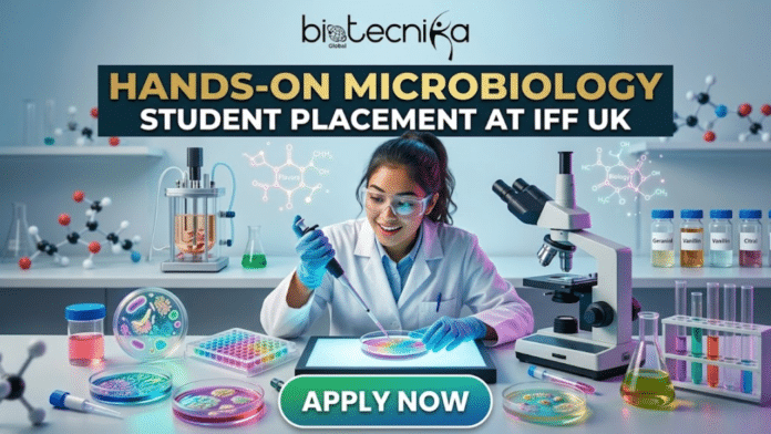 Hands-On Microbiology Student Placement at IFF in UK Exciting Opportunity You Can't Miss!! A featured image for a job posting page with the main text at the top: 'HANDS-ON MICROBIOLOGY STUDENT PLACEMENT AT IFF UK'. The 'biotecnika Global' logo is in the very top center. A young woman in a lab coat, safety glasses, and blue gloves is at a cluttered lab bench, using a micropipette to work with a petri dish on a light table. Petri dishes with colorful and multi-well cultures, a large microscope, and numerous flasks, beakers, and chemical bottles labeled 'Vanillin', 'Menthol', 'Linalool', 'Citral', and 'Biology' are spread across the bench. A prominent green button at the bottom center reads 'APPLY NOW'.