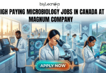 High Paying Microbiology Jobs in Canada at Magnum Company | Freshers Can Apply! High Paying Microbiology Jobs in Canada at Magnum Company. A detailed illustrative banner with the "Biotecnika GLOBAL" logo in the top left. The main text reads: "HIGH PAYING MICROBIOLOGY JOBS IN CANADA at Magnum Company". Below the text is a modern, busy microbiology laboratory scene featuring diverse scientists. A Black male scientist holds a tablet, an Asian female scientist looks into a microscope, and an Indian female scientist examines a Petri dish. Stylized molecular diagrams and bacterial structures float in the air. Panoramic windows behind them show a city skyline with the CN Tower on the left, and mountains with a forest and a Canadian maple leaf emblem on the right. At the bottom center, an orange "APPLY NOW" button has glowing borders.
