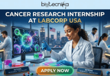 Kickstart Your Cancer With Cancer Research Internship at Labcorp USA | Get Upto $20/hr Kickstart Your Cancer With Cancer Research Internship at Labcorp USA Get Upto $20hr. A promotional graphic for a "Cancer Research Internship at Labcorp USA" set in a modern, futuristic biomedical laboratory at night with a NYC skyline view. A young female intern is focused and smiling while using an eight-channel pipette on a multi-well plate filled with colourful liquid. A computer monitor displays a detailed, glowing model of a multi-coloured cancer cell being targeted by proteins. Racks of colourful test tubes, molecular models, and two nameplates labeled "Intern, Research - Oncology" are in the foreground. Two other diverse scientists work in the background. The text at the top reads "CANCER RESEARCH INTERNSHIP AT LABCORP USA," and a button at the bottom reads "APPLY NOW." The Biotecnika Global logo is at the top.