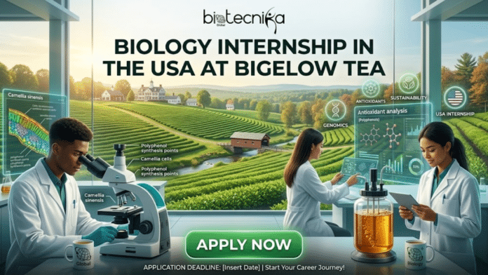 Land Your Dream Biology Internship in USA – Join Bigelow Tea’s R&D Tea Division Today! A featured image for a job page titled