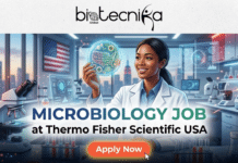Microbiology Job at Thermo Fisher Scientific, USA – Freshers Welcome! Microbiology Job at Thermo Fisher Scientific USA Freshers Job. It combines a professional lab setting with thematic elements like the US-shaped petri dish to ensure it captures attention, and I've integrated the Biotecnika Global logo and the "Apply Now" button as requested.