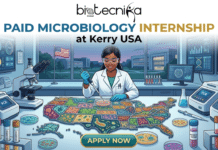 Don’t Miss This Microbiology Internship in USA – High-Paying Quality Intern Role at Kerry! Paid Microbiology Internship at Kerry USA Quality Intern Role. An illustrative infographic poster promoting a paid microbiology internship at Kerry USA, with the Biotecnika Global logo at the top. Below the logo, the prominent text reads: "PAID MICROBIOLOGY INTERNSHIP at Kerry USA". The central image shows a female scientist in a lab coat and safety glasses actively pipetting into a detailed and colorful map of the United States. The states themselves are uniquely filled with various illustrated microbial colonies and petri dishes. The laboratory bench is cluttered with a microscope, a PCR machine, labeled test tube racks, and other lab equipment. Background monitors display complex scientific data and a brain scan. Through a window, a modern facility is visible. At the very bottom center, a blue button with white text says "APPLY NOW". The overall style is modern illustration.