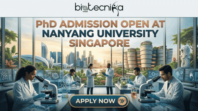 PhD Admission Open in Singapore NTU Hiring Researchers for Neural Tissue Engineering & Stem Cell Therapy!. A detailed promotional banner for 'PhD Admission Open at Nanyang University Singapore' from biotecnika Global. The image depicts a modern, multi-station laboratory with four scientists in white lab coats and gloves working with microscopes and computer screens displaying molecular data. In the background, seen through massive floor-to-ceiling windows, is a spectacular, sun-drenched panoramic view of a unique modern Nanyang University campus, a generic Singapore cityscape skyline, tropical greenery, and a Merlion statue. Large copper and blue text at the top center reads: 'PhD ADMISSION OPEN AT NANYANG UNIVERSITY SINGAPORE'. At the bottom center, a prominent rounded copper and teal button reads 'APPLY NOW' with an arrow. The entire composition is high-quality, illustrative, and attention-grabbing.