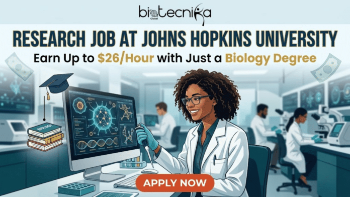 Research Job at Johns Hopkins University Earn Up to $26Hour with Just a Biology Degree. A modern digital illustration of a featured image for a job page. At the top, a light blue banner contains the centered text header in black and gold: