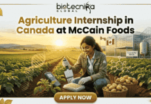 Students Internship Alert! Agriculture Internship in Canada at McCain Foods Students Internship Alert! Agriculture Internship in Canada at McCain Foods. A featured promotional image for 'Agriculture Internship in Canada at McCain Foods' by biotecnika Global. The image shows a female scientist kneeling in a large, sunlit potato field under a golden sunset sky, using a micropipette to work with a laboratory multi-well plate. Baskets of harvested potatoes surround her, and futuristic scientific overlays like a DNA helix and molecular diagrams are present. In the background is a modern greenhouse facility with Canadian flags, large bioreactor tanks, and a sign that says 'Potato Quality R&D Lab'. At the bottom center, there is a prominent 'APPLY NOW' button. Gold leaf and wheat illustrations border the frame.