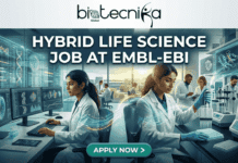 Top Hybrid Life Science Job Alert: Apply For Scientific Project Officer Role at EMBL-EBI Top Hybrid Life Science Job Alert Apply For Scientific Project Officer Role at EMBL-EBI. "A professional featured image for a 'Hybrid Life Science Job at EMBL-EBI' by Biotecnika Global. The graphic features two female scientists in a futuristic laboratory; one is analyzing data on multiple computer screens, and the other is performing wet-lab work with a pipette and multi-well plate. Glowing abstract data and molecular structures connect the two workstations. At the top is the black 'biotecnika Global' logo, and at the bottom is a teal 'APPLY NOW' button with a chevron."