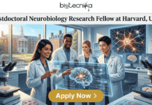 Top Research Fellowship in USA: Harvard Seeking Postdoctoral Research Fellow in Neurobiology Top Research Fellowship in USA Harvard Seeking Postdoctoral Research Fellow in Neurobiology. The featured image for a 'Postdoctoral Neurobiology Research Fellow at Harvard, USA' job page. At the top, a white header features the black Biotecnika Global logo, followed by the full job title. The main visual is a vibrant, sunlit modern lab with four diverse researchers in white lab coats collaborating and smiling. They are gathered around a futuristic transparent glass display of glowing brain circuitry and neural mapping. One researcher holds a microelectrode array, another works with multi-well plates containing glowing cells, and others operate microscopes showing detailed brain tissue samples on their stages. Monitors in the background show high-resolution brain cells and circuitry. Through large windows, a classic brick university campus with a clock tower (Harvard-suggestive) is visible. At the bottom center, a prominent gold rounded rectangular button reads 'Apply Now' with an arrow. The overall atmosphere is inspiring, collaborative, and cutting-edge